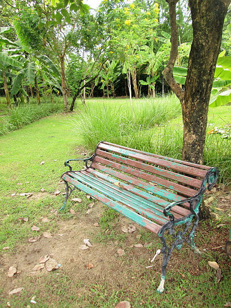 istock Empty wooden bench in the city park 498791499