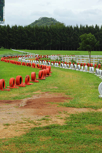 istock Spare tire on a green grass. 498791553