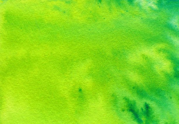 istock Hand painted textured background with texture and shades of green 498794794