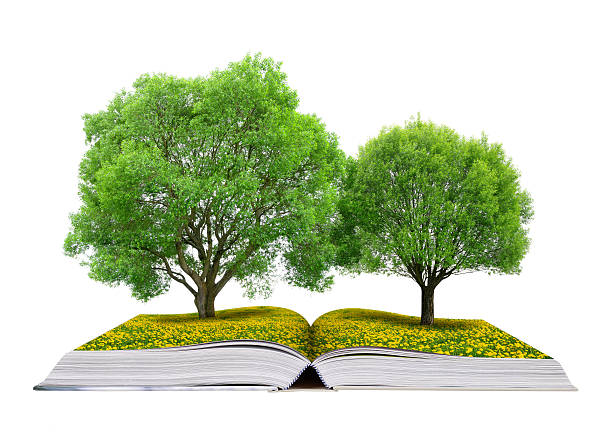 istock Book of nature with trees 498795108