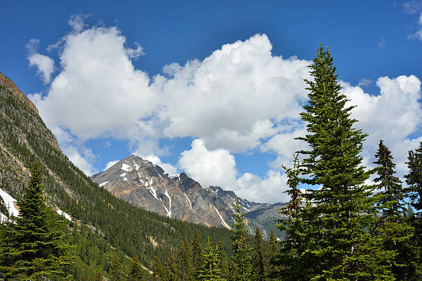 istock Scenery of Jasper National Park 498795300