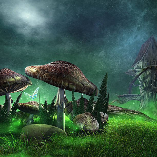 istock Mushrooms on a green meadow 498796704