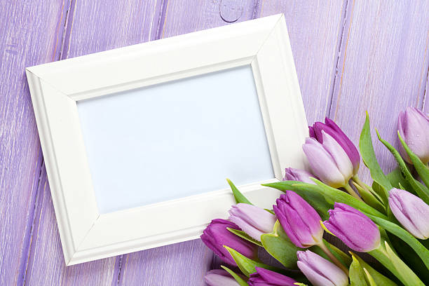 istock Purple tulip bouquet and blank photo frame 498798888