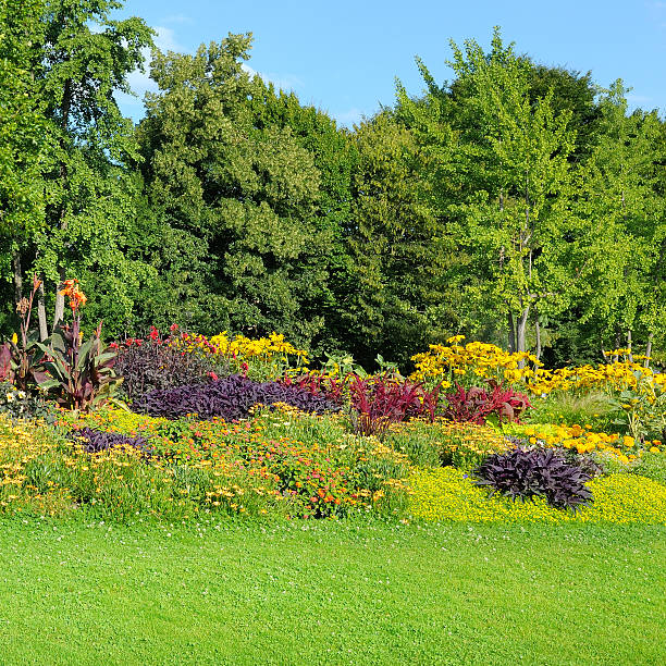 istock flowerbeds in the park 498799196