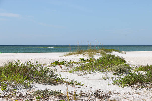 istock Lido Beach - Gulf of Mexico 498800492