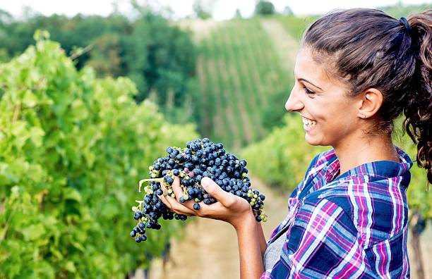 Woman in Vineyard with Grapes