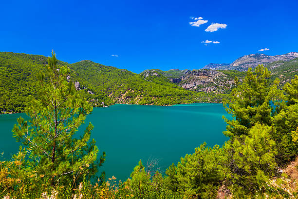 зеленый каньон в турции - waterfall antalya turkey forest стоковые фото и изображения