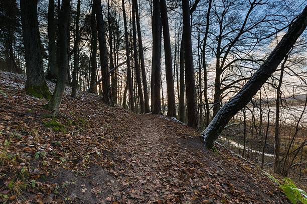 istock Landscape of late autumnal forest with first snow 498804490