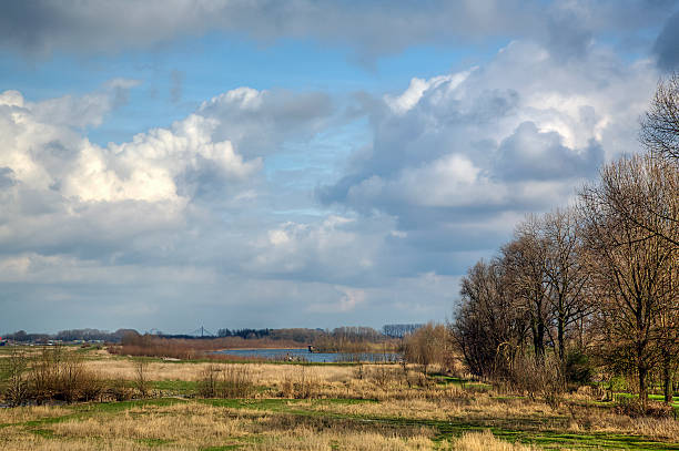 istock Foreland of Dutch river waal 498804634