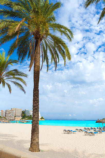 istock Mallorca Magaluf Magalluf beach in Calvia 498804988