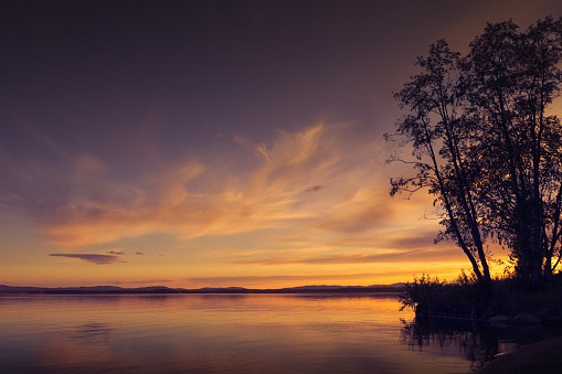 Trees by a calm lake at sunset. Dalarna, Sweden.