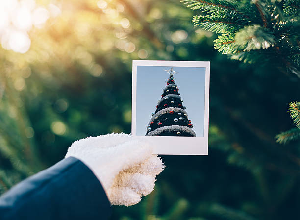istock Human hand showing instant photo of Christmas tree 498809536