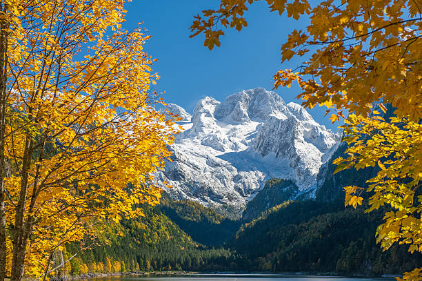 Lake Gosau with Glacier Dachstein, Fall Colors, Nature Reserve Austria
