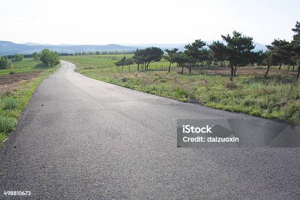 Country Highway Stock Photo - Download Image Now - Adventure, Agricultural Field, Asphalt