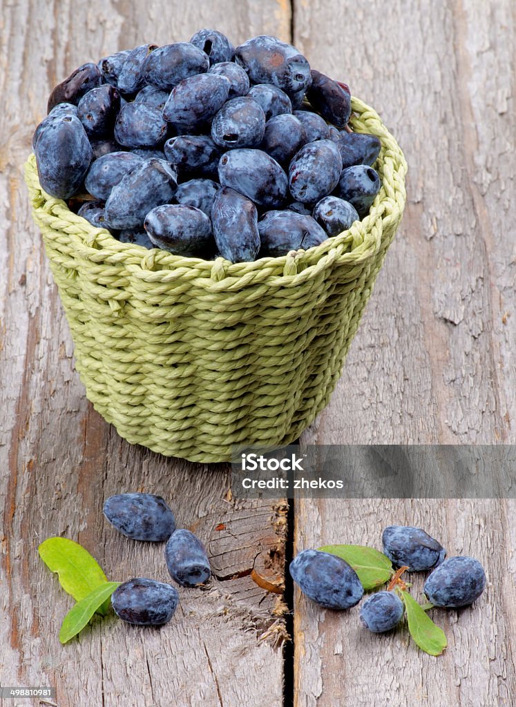 Madreselva bayas - Foto de stock de Alimento libre de derechos