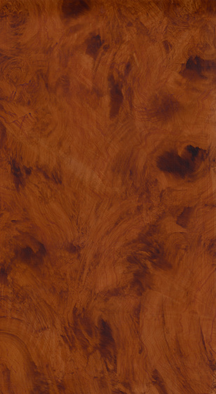 Very realistic faux painted Burl wood texture panel