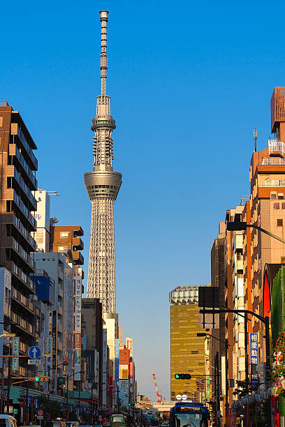 istock Tokyo Skytree tower in city view 498814227