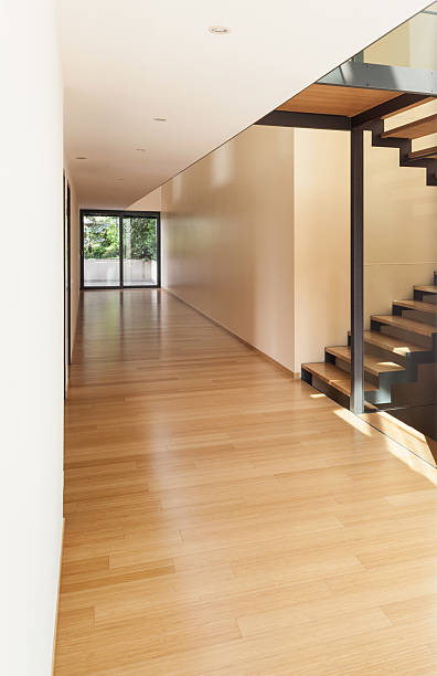 istock entrance of a modern villa 498828317