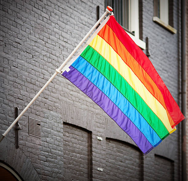 gej tęczowa flaga - allegory painting blue celebration homosexual zdjęcia i obrazy z banku zdjęć