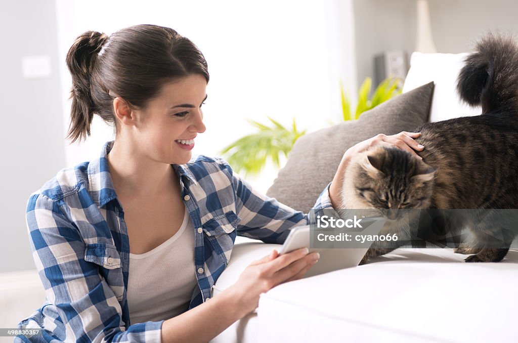 Woman and cat in the living room Smiling woman with tablet and beautiful cat in the living room. Domestic Cat Stock Photo