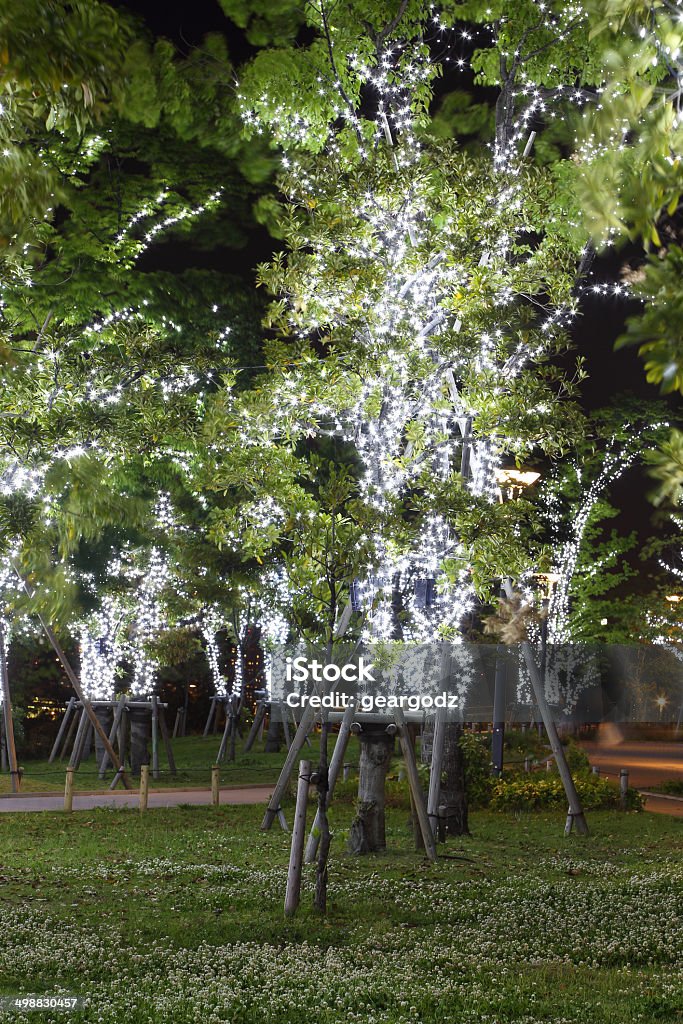 LED garden decoration LED light on tree (garden decoration) Abstract Stock Photo