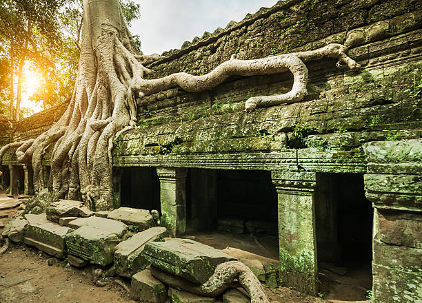 istock Angkor Wat, Cambodian Temple 498831172