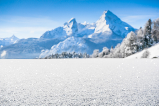 The sun shines over the east face of the Eiger North Face into the forest above the valley of Grindelwald, illuminating the wintry snowy landscape.