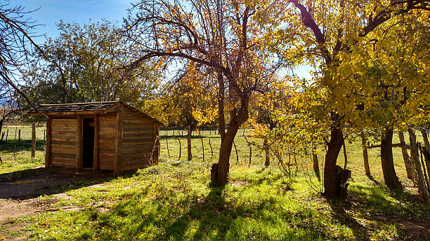 Chicken coop fences and fall colors in pasture Grafton Ghost Town Rockville Utah