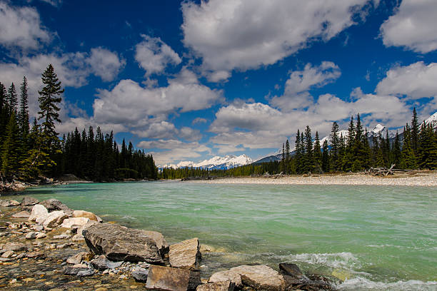 istock Kootenay National Park 498832379