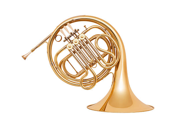istock French horn isolated on white background 498833135