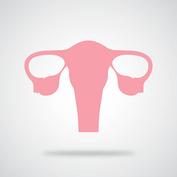 różowy macicy icon - ovary stock illustrations