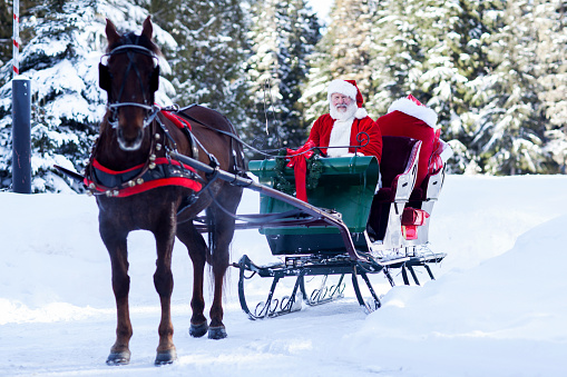 2 horses saddled up for sleigh riding in deep snow.