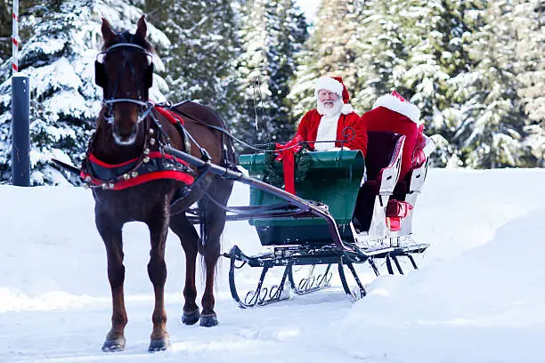 Santa Claus at the North Pole sitting in his sleigh. Copy space.