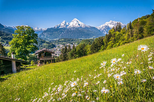 istock Idyllic landscape in the Alps with mountain chalet in springtime 498837344