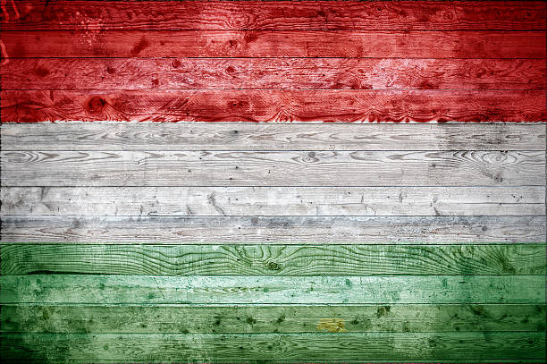 istock Wooden Boards Hungary 498839070