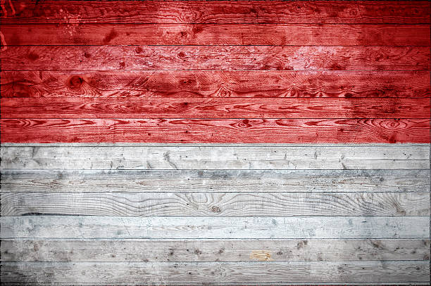istock Wooden Boards Monaco 498841240