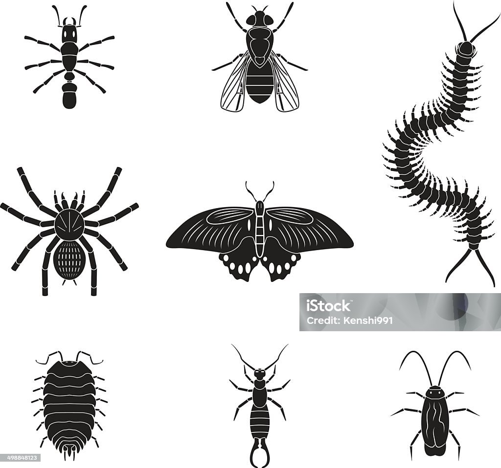 Zestaw owady głośność 2 - Grafika wektorowa royalty-free (Kulanka)