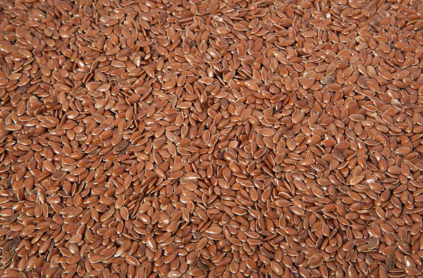 Flax Seed stock photo