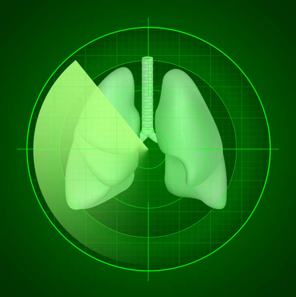 обследование легких - human lung healthy lifestyle healthcare and medicine green stock illustrations