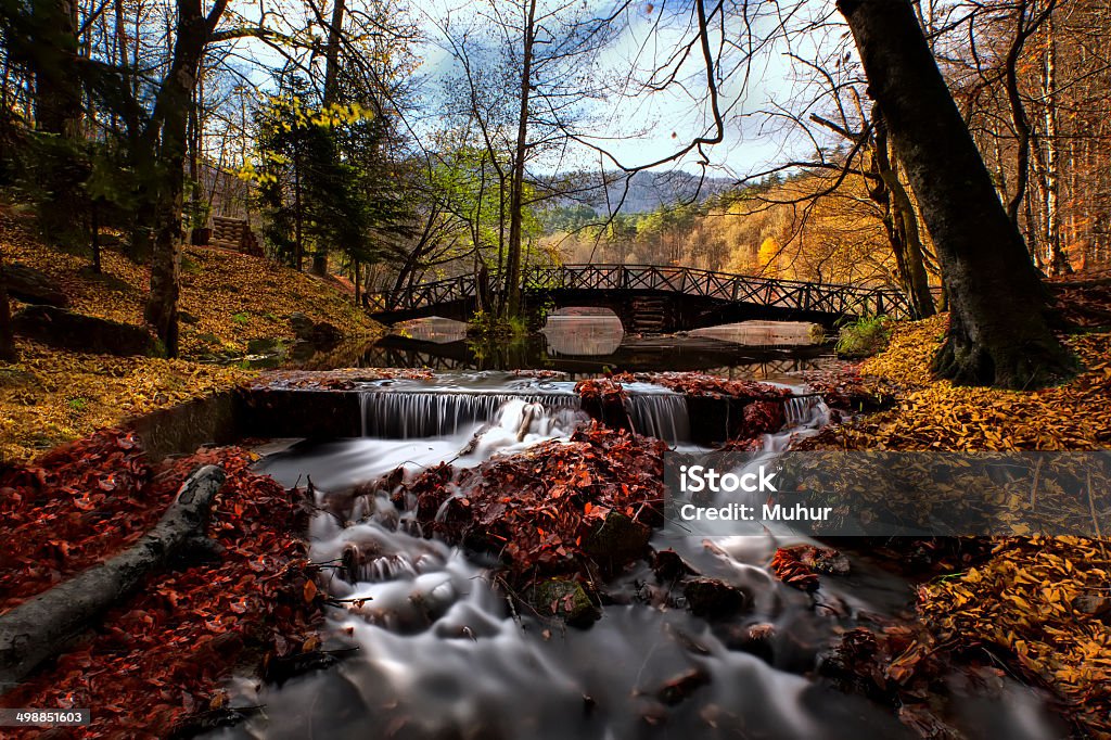 Autumn Landscape-Seven lake turkey A landscape of trees located in Yedigoller Turkey in Autumn reflecting from a lake. Green and Yellow trees..Has long exposure shots Turkey - Bird Stock Photo