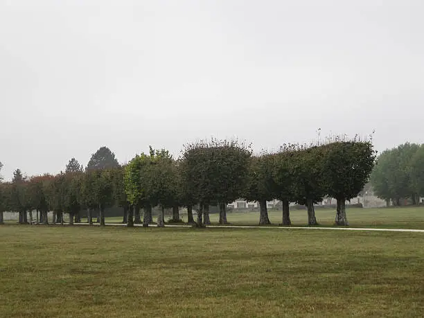 Landscape of France