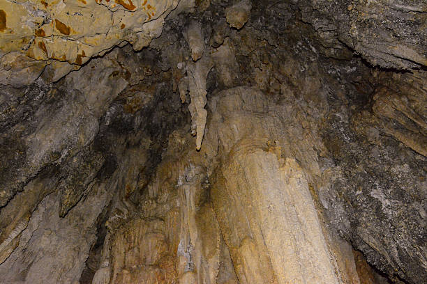 pared de piedra caliza en la cueva cubierto con dripstone - dripstone fotografías e imágenes de stock