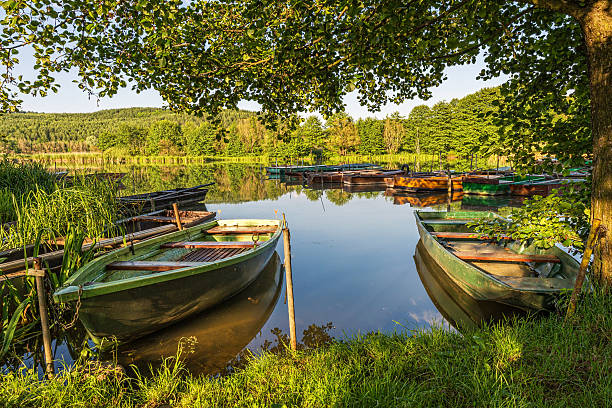 istock Under trees, boats in the harbor at Lake 498853861