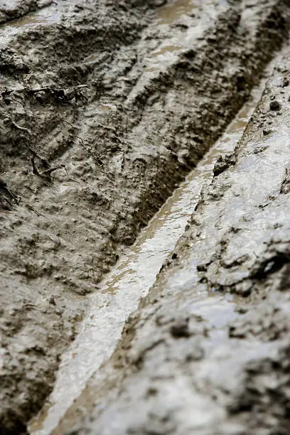 Photo of Muddy Mountain Bike Trail