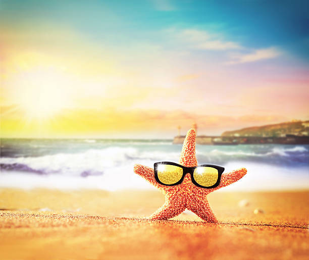 istock Sea beach. Starfish in sunglasses on the seashore. 498856660