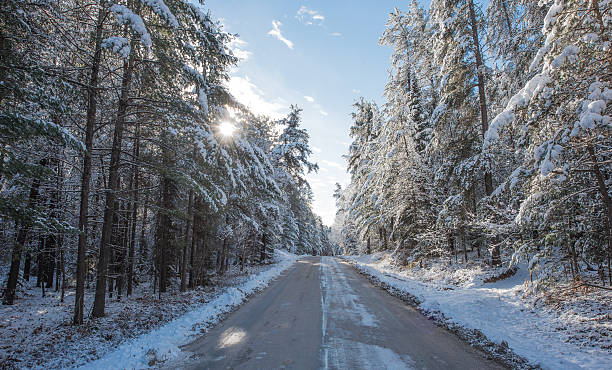 istock Fresh fallen snow - beautiful forests along country roads. 498857412