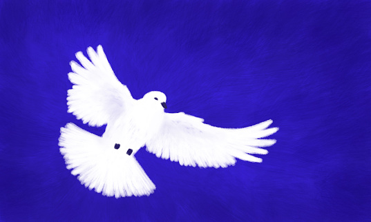 An illustration of a white dove flying, with blue textured background.