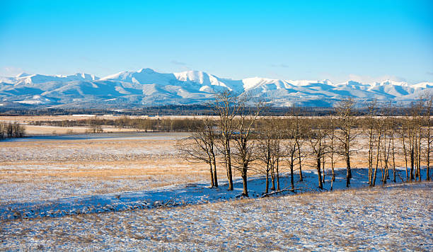 istock Alberta prairie scene with Rocky Mountains in background 498858528