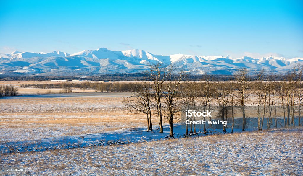 Alberta prairie scene with Rocky Mountains in background Alberta prairie scene with Rocky Mountains in background- cattle range land and foothills. Canada Stock Photo