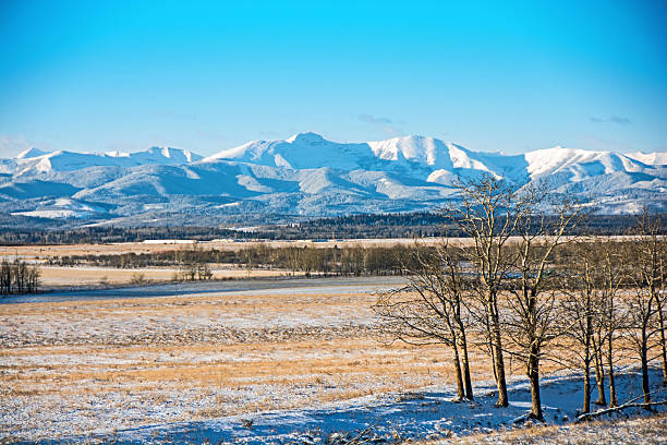 istock Alberta prairie scene with Rocky Mountains in background 498858686